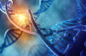 Wizualizacja chromosomu X