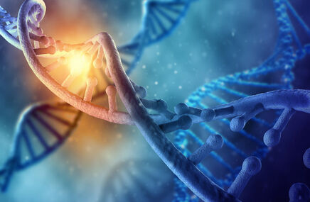 Wizualizacja chromosomu X