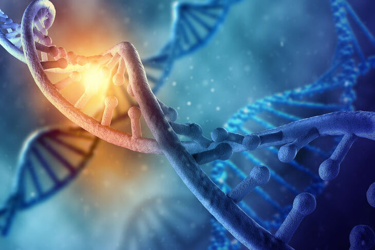 Wizualizacja chromosomu X