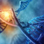 Wizualizacja chromosomu X