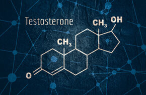 Wzór chemiczny testosteronu