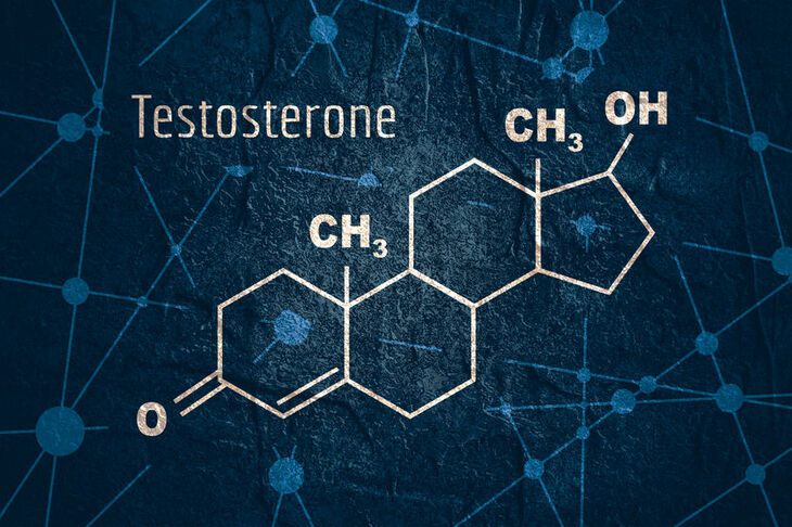 Wzór chemiczny testosteronu