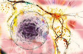 Neurony