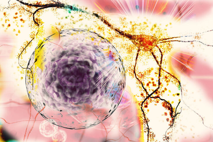 Neurony