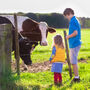 Colostrum dla dziecka jest pozyskiwane m.in. z siary bydlęcej