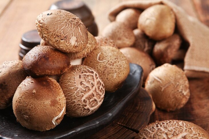 Grzyby shiitake