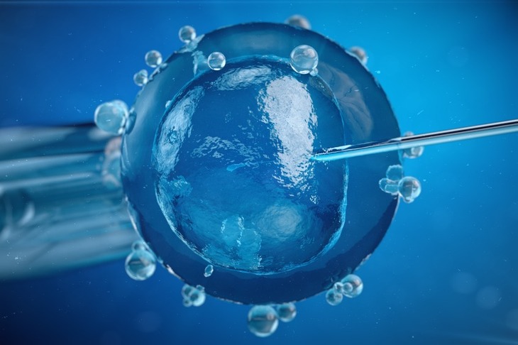 Zabieg in vitro