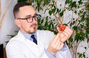 Lekarz pokazuje, gdzie jest zlokalizowany gruczolak przytarczyc
