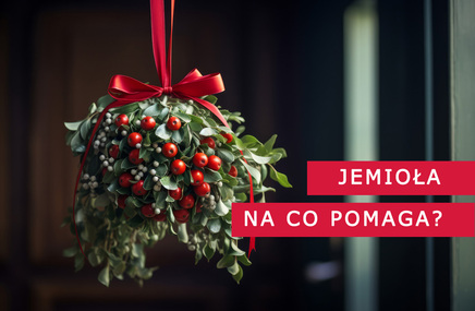 Pęczek jemioła