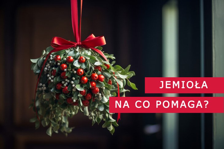 Pęczek jemioła