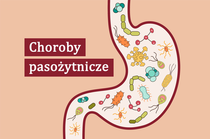Wizualizacja pasożytów w układzie pokarmowym człowieka