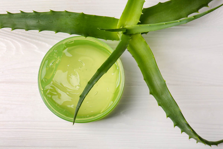 Aloes stosowany na oparzenia