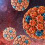 Hirus HIV