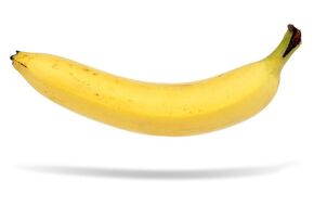 /zdjecie/10719385_m.jpg/4963,0,0