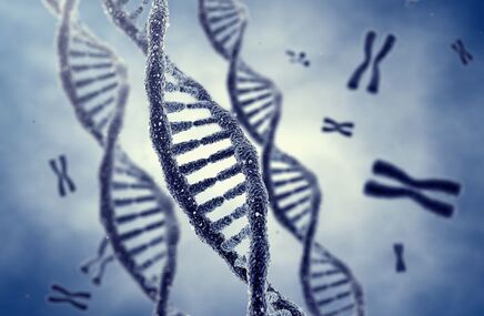 Łańcuch DNA