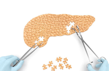 Trzustka ułożona z puzzli