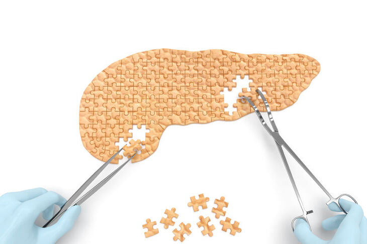 Trzustka ułożona z puzzli
