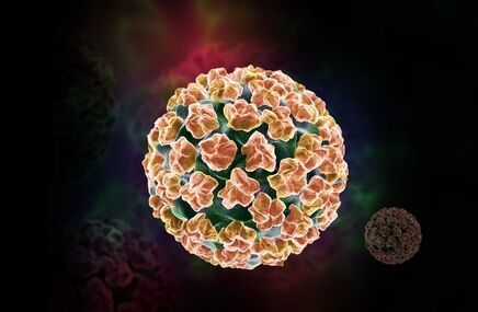 Brodawczak HPV