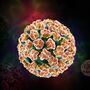 Brodawczak HPV