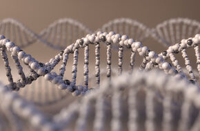 Łańcuch DNA