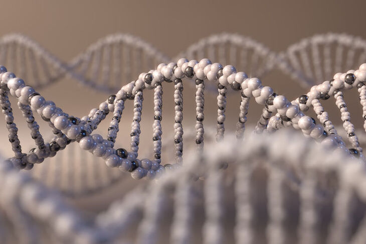 Łańcuch DNA