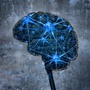 Neurony w mózgu