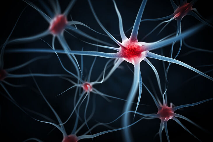 Neurony