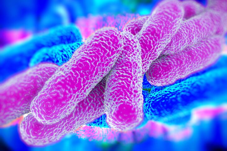 Bakterie legionella