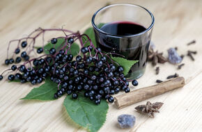 Czarny bez